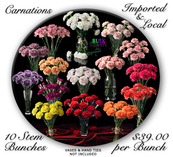CARNATIONS