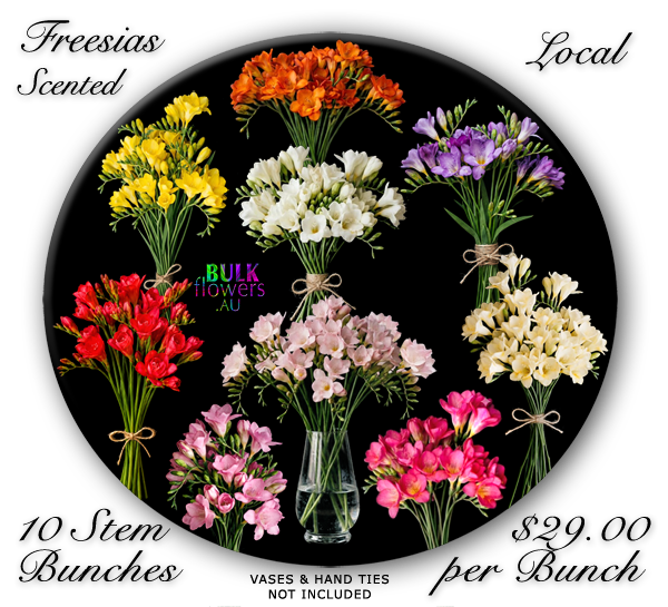 FREESIAS
